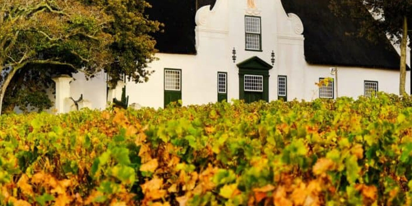 Groot-constantia-banner