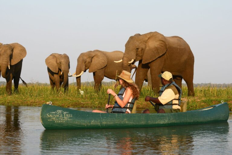 Canoe-Trip-on-the-river
